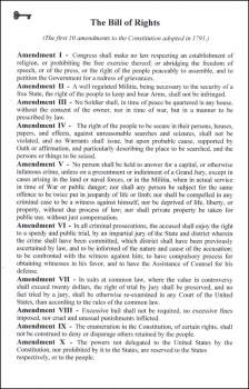 Bill of Rights / Gettysburg Address (6 x 9 Laminated Help Chart)