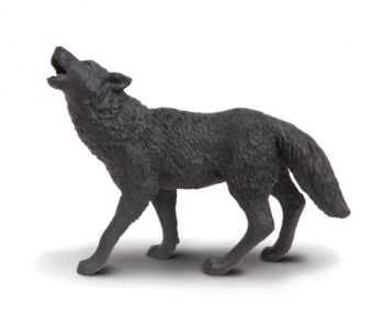 Black Wolf (North American Wildlife)