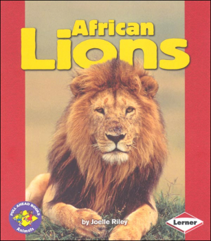 African Lions Book | First Avenue Editions | 9780822567073