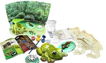 Amazing and Bizarre Frogs of the World (Wild Environmental Science Kit)
