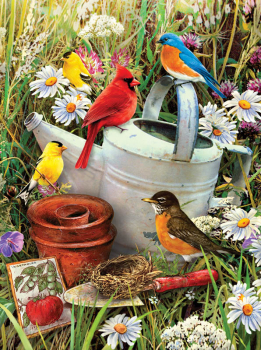 Painting By Numbers - Garden Birds (Junior Small)