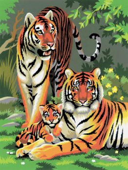 Painting By Numbers - Tigers (Junior Small)