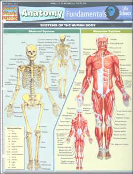 Anatomy Fundamentals Life Science Quick Study | Bar Charts | 9781423209829