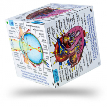 Human Body Cube Book