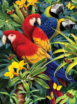 Painting By Numbers - Majestic Macaws (Junior Small)