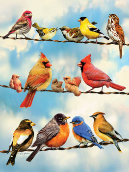 Birds on a Wire Puzzle (500 Pieces)