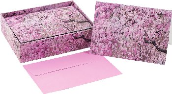 Cherry Blossoms Boxed Note Cards