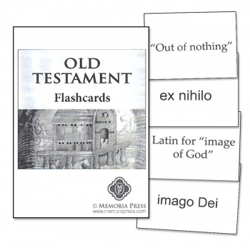 Old Testament Flashcards Set of 213