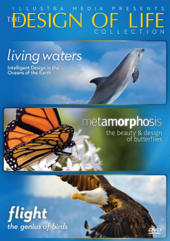 Design of Life Collection DVD (Living Waters/Metamorphosis/Flight)