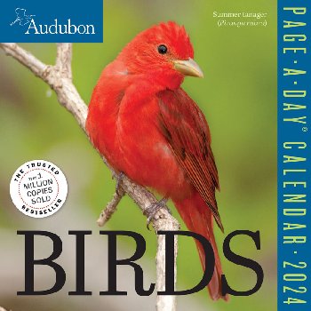 Audubon Birds 2024 Page-A-Day Calendar