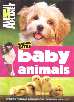 Animal Bites Baby Animals