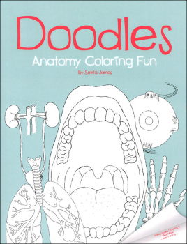 Doodles Anatomy Coloring Fun