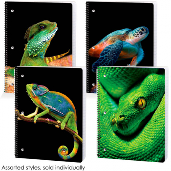 Reptiles Dimensional Wide Ruled Theme Book Assorted Scales & Tails Design