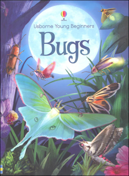 Bugs (Usborne Young Beginners)