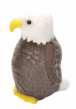 Audubon Bird: Bald Eagle Plush With Real Bird Call