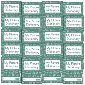My Picture Dictionary set of 20