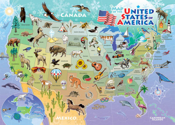 USA Map Tray Puzzle (35 piece)