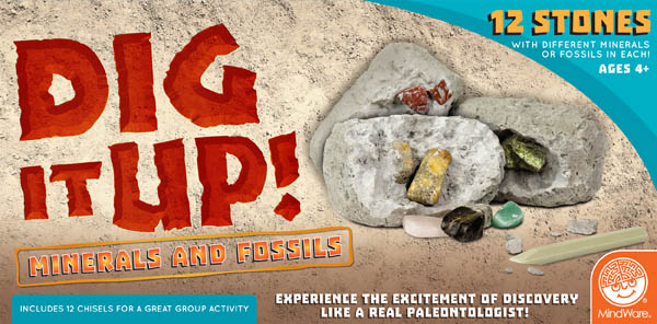 Dig It Up! Minerals and Fossils