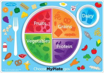 MyPlate.gov Smart Poly Learning Mat | Ashley Productions