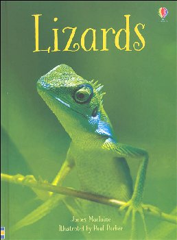Lizards (Usborne Beginners)
