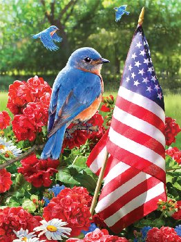 Painting By Numbers - Patriotic Bluebird (Jr Small)