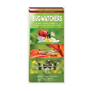Bugwatchers: Pocket Guides to Beetles, Bugs & Slugs and Dragonflies