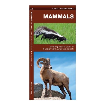 Mammals: A Folding Pocket Guide to Familiar North American Species