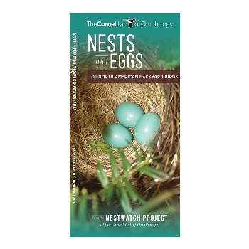 Nests & Eggs: Of North American Backyard Birds