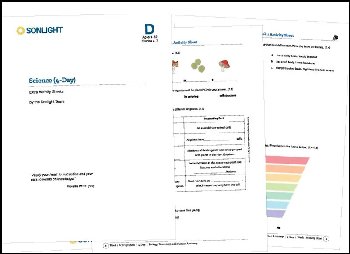Science Level D 4-Day Extra Activity Sheets (2020)