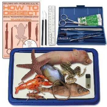 Advanced Dissection Kit
