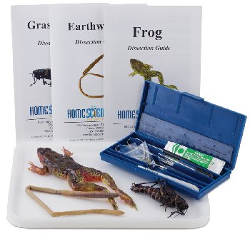 Introductory Dissection Kit