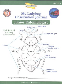 STEM Ladybug Activity Journal - Junior Entomologist