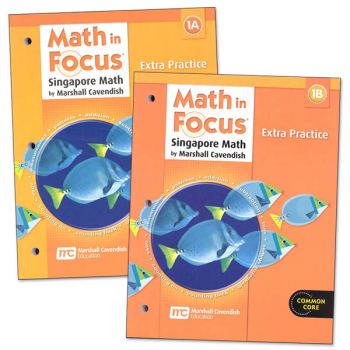 Math in Focus Gr 1 Extra Practice A & B Set