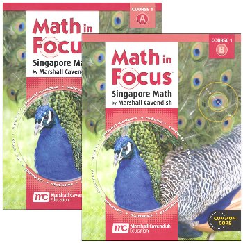 Math in Focus Course 1 Student Book A&B Set